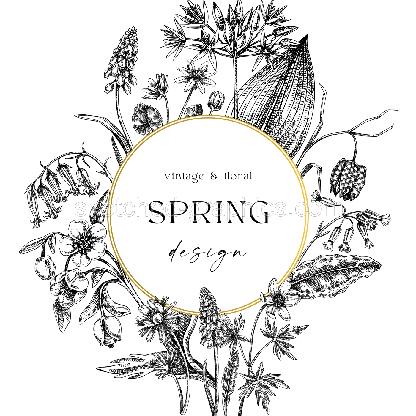 Elegant spring poster design. Wildflowers print in color. Woodland wild flower sketches. Floral background. Botanical card, invitation template . Hand drawn vector illustration, NOT AI Illustration